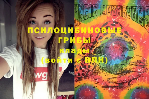 стафф Алексин