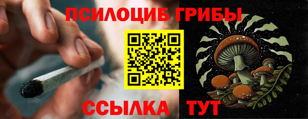 Галлюциногенные грибы MAGIC MUSHROOMS Прохладный