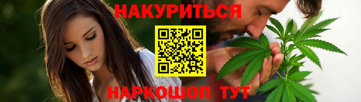 Конопля сатива Прохладный